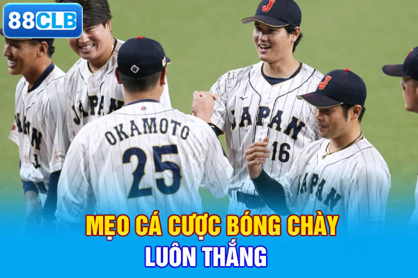Mẹo cá cược bóng chày luôn thắng