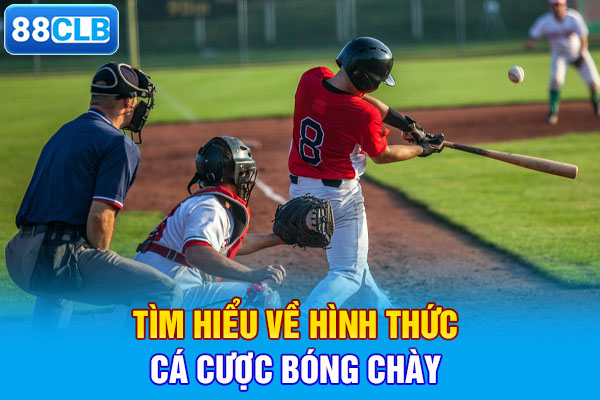 Tìm hiểu về hình thức cá cược bóng chày