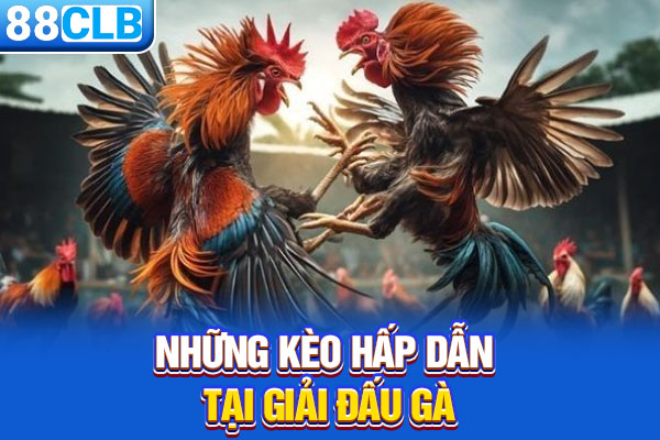 Những kèo hấp dẫn tại giải đấu gà
